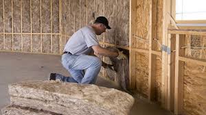 Best Eco-Friendly or Green Insulation Solutions  in Santa Ana Pueblo, NM