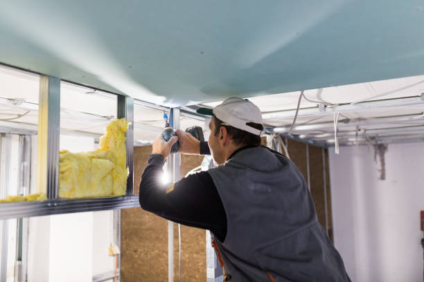 Best Soundproof Insulation  in Santa Ana Pueblo, NM